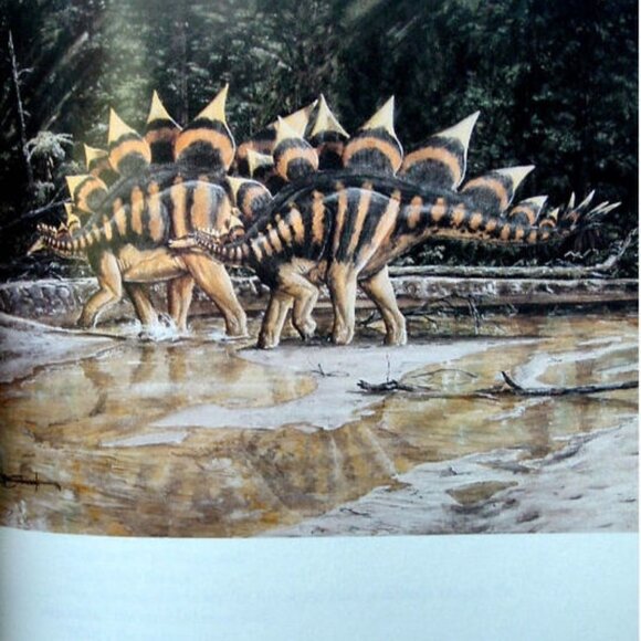 JURASSIC PARK by Michael Crichton Knoff Publisher Signed Gift Edition 1993 Book - Picture 9 of 13